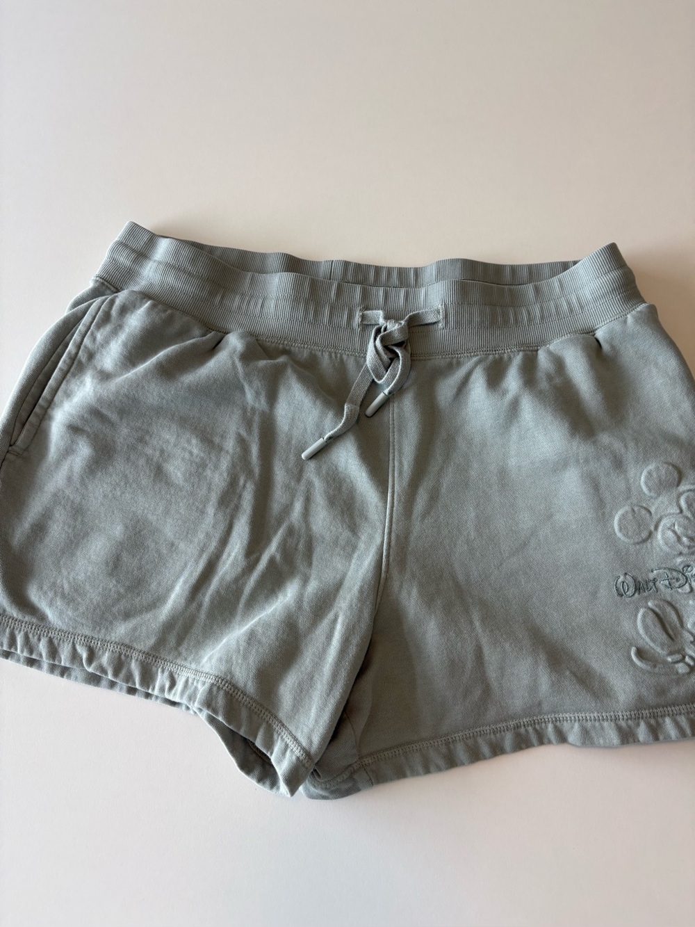 Disney Sage Casual Shorts - Women’s Large